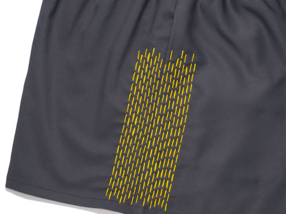 hiking shorts - grey